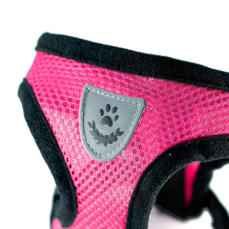 Adjustable Mesh Pet Harness with Leash for Small Dogs