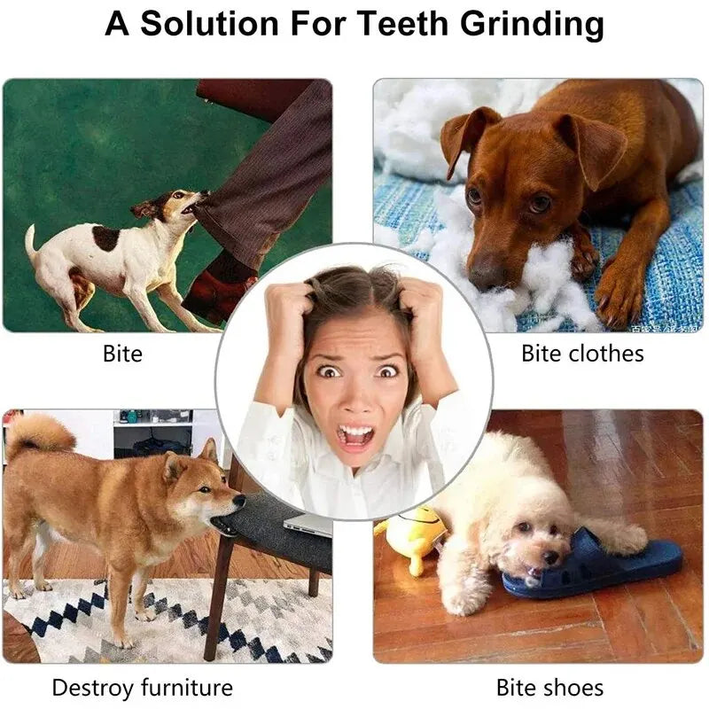 Rubber Dog Treat Ball – Chew Toy And Teeth Cleaning