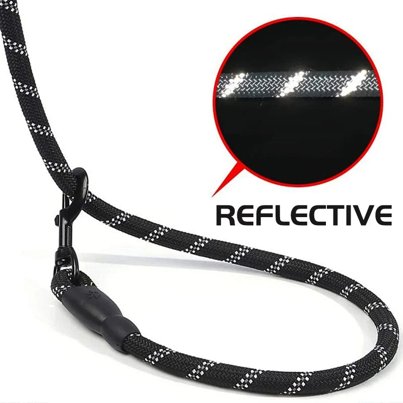 Reflective Nylon Dog Leash With Padded Handle – Heavy Duty