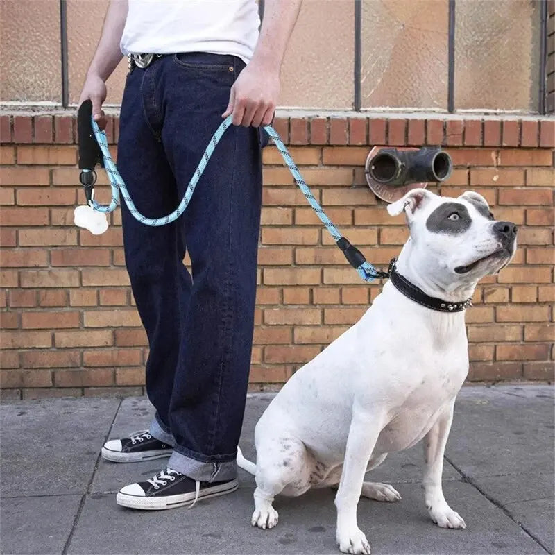 Reflective Nylon Dog Leash With Padded Handle – Heavy Duty