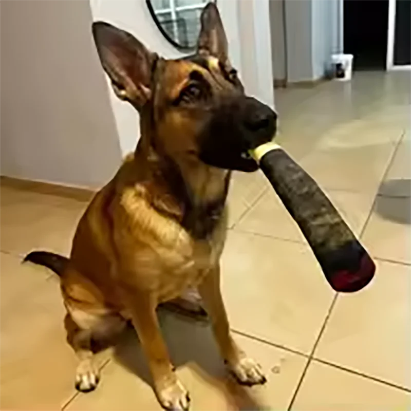 Cigar Plush Squeaky Dog Toy – Interactive Chew Fun