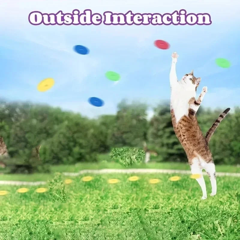 Pet Flying Disc Launcher Toy With 15 Foam Discs