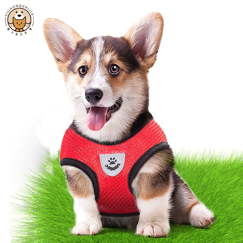 Adjustable Mesh Pet Harness with Leash for Small Dogs