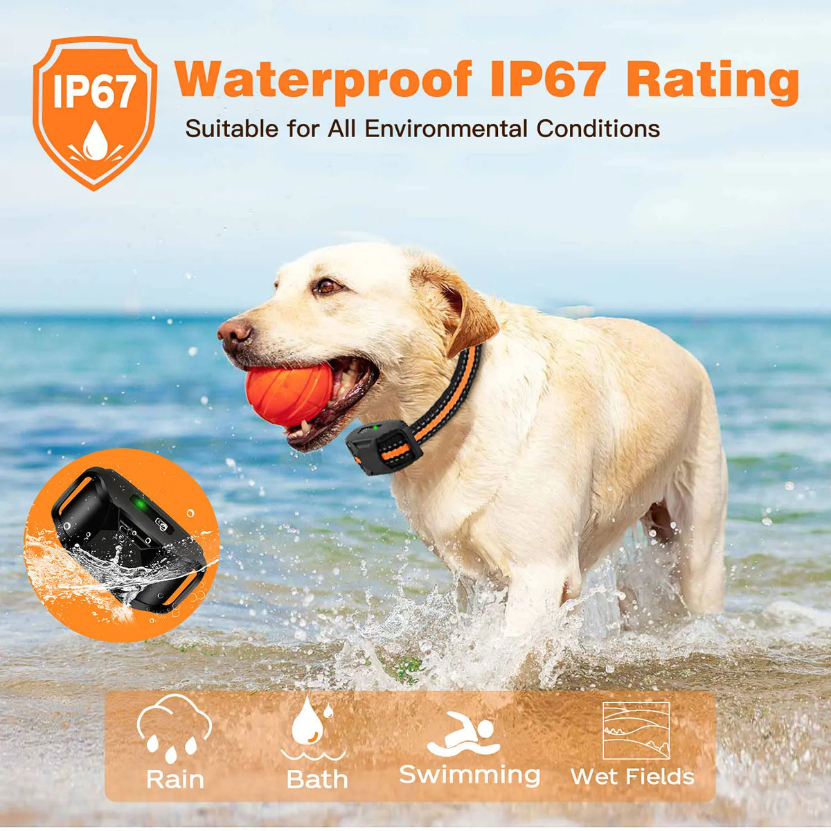 Electric Dog Training Collar with Remote – Waterproof