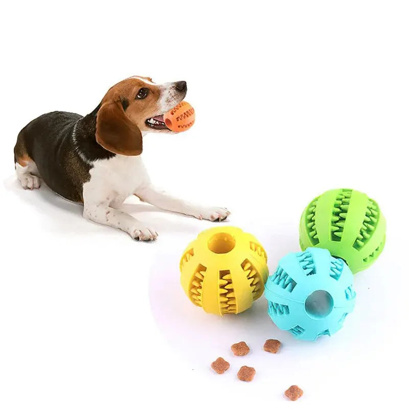 Rubber Dog Treat Ball – Chew Toy And Teeth Cleaning