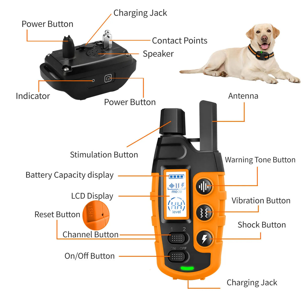 Electric Dog Training Collar with Remote – Waterproof