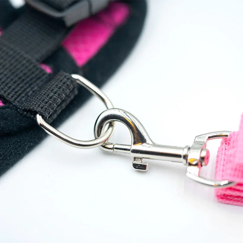 Adjustable Mesh Pet Harness with Leash for Small Dogs