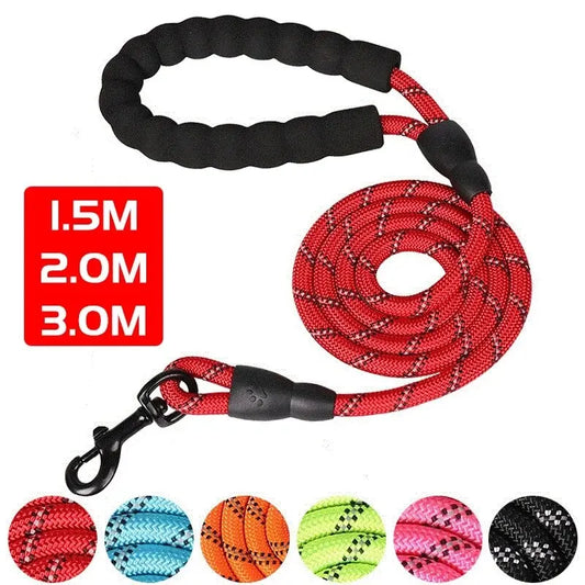 Reflective Nylon Dog Leash With Padded Handle – Heavy Duty