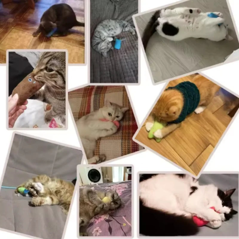 Plush Catnip Chew Toy – Interactive Velvet Bite Toy For Cats